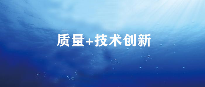 質量+技術創(chuàng)新